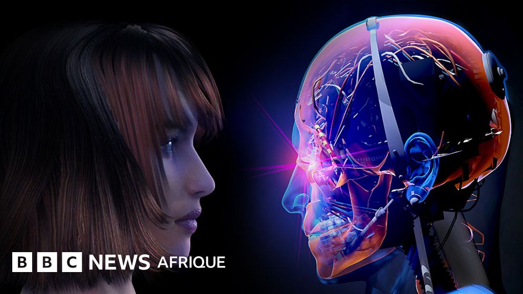 Intelligence artificielle : pourquoi nous pourrions tous avoir un jumeau numérique dans une décennie - BBC News Afrique