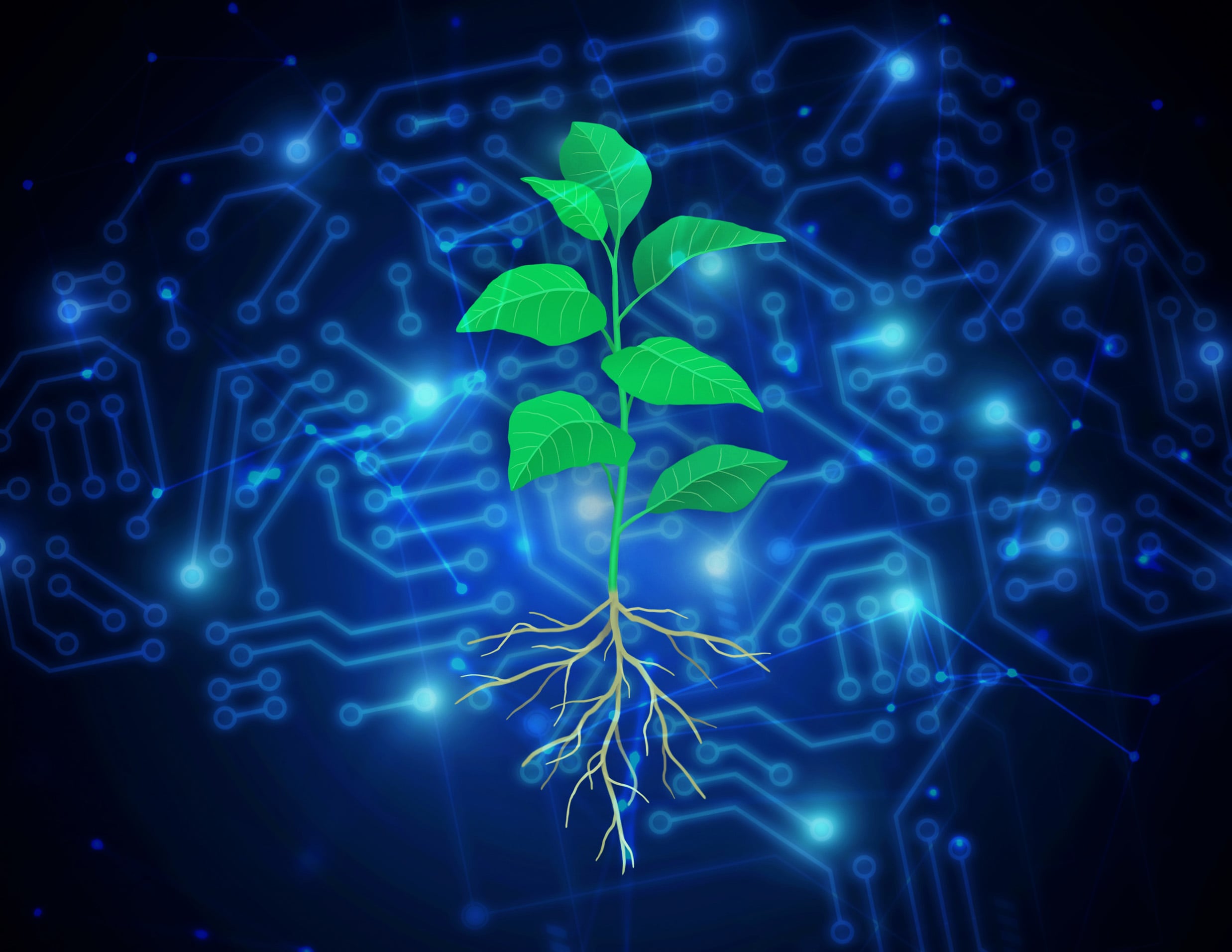Green Revolution 2.0: Scientists Use AI To Create Carbon-Capturing Plants